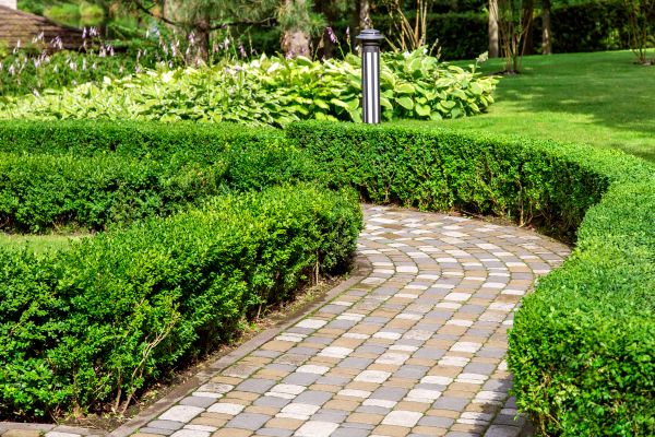 Cost of Paved Landscaping in Paso Robles