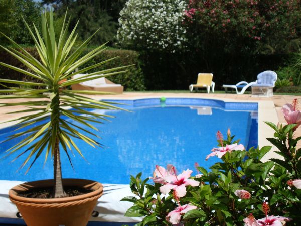 Cost of Pool Terrace Renovation in Paso Robles